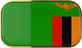 Direct LCL service to Zambia by Masterglobal Group