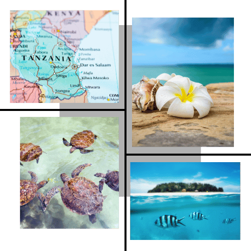 Zanzibar freight services with efficient cargo solutions
